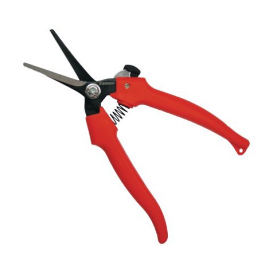 ΨΑΛΙΔΙ ΤΡΥΓΟΥ ΙΣΙΟ ΕΠΑΓΓΕΛΜΑΤΙΚΟ BENMAN (77112)