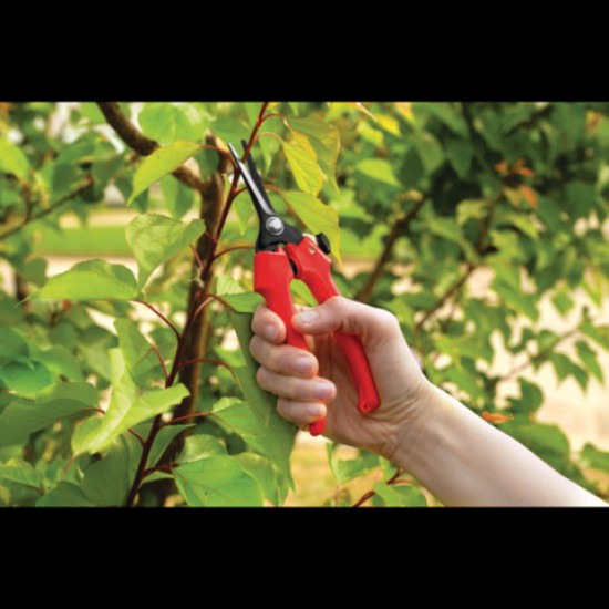 ΨΑΛΙΔΙ ΤΡΥΓΟΥ ΙΣΙΟ ΕΠΑΓΓΕΛΜΑΤΙΚΟ BENMAN (77112)