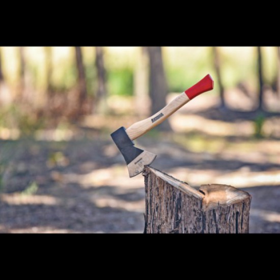 ΤΣΕΚΟΥΡΙ ΜΕ ΞΥΛΙΝΗ ΛΑΒΗ, DIN 5131B BENMAN (77232,77233,77234)