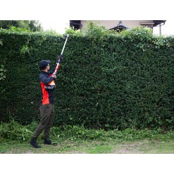 Ψαλίδι Μπορντούρας Με Κοντάρι Μπαταρίας 56V 56cm ECHO (DHCA-2600HD)