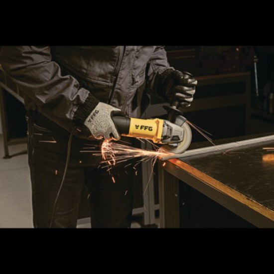 ΡΥΘΜΙΖΟΜΕΝΟΣ ΓΩΝΙΑΚΟΣ ΤΡΟΧΟΣ AG 125/1200EC PRO 1.200W F.F.GROUP (44827)