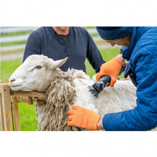 BORMANN BHC3000 Κουρευτική Μηχανή Προβάτων 350W (022220)