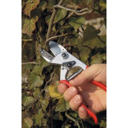 Ψαλίδα κλαδέματος για χρήση με ένα χέρι FELCO 31