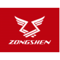 ZONGHSEN