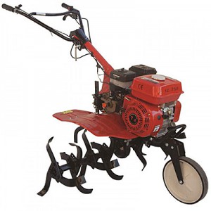 ΒΕΝΖΙΝΟΚΙΝΗΤΑ ΣΚΑΠΤΙΚΑ