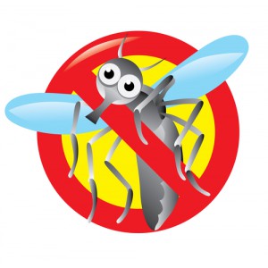 ΕΝΤΟΜΟΑΠΩΘΗΤΙΚΑ - ΕΝΤΟΜΟΠΑΓΙΔΕΣ